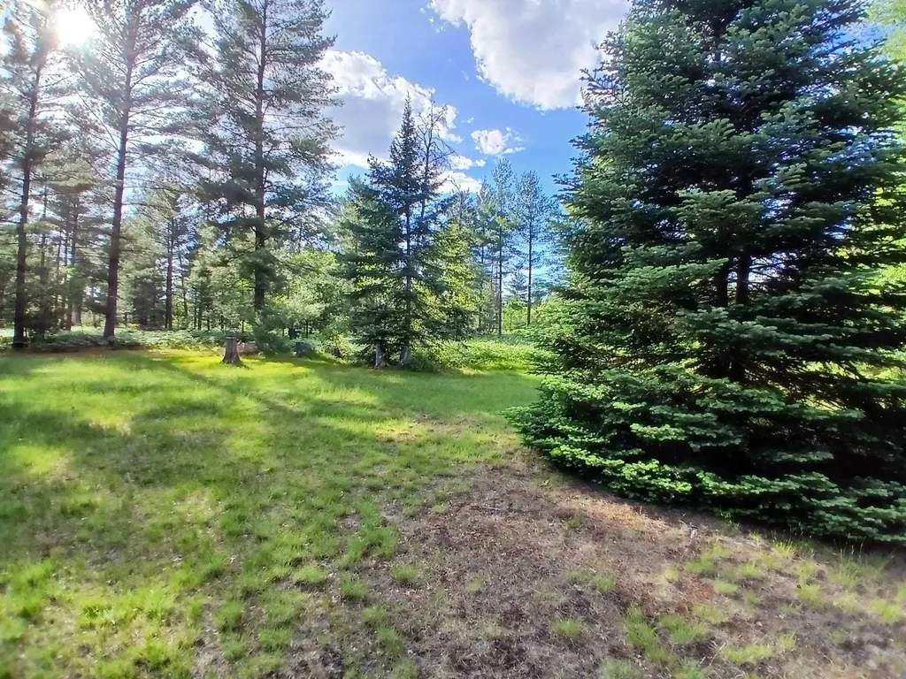57 E Boehm Road Mills Township MI 48661