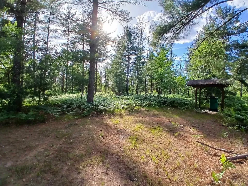 57 E Boehm Road Mills Township MI 48661