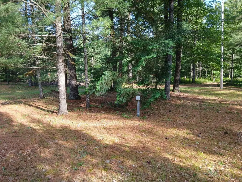 57 E Boehm Road Mills Township MI 48661