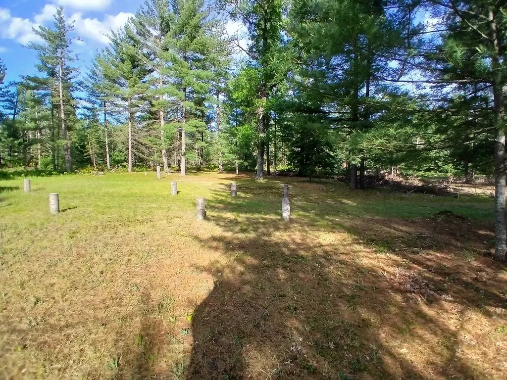57 E Boehm Road Mills Township MI 48661