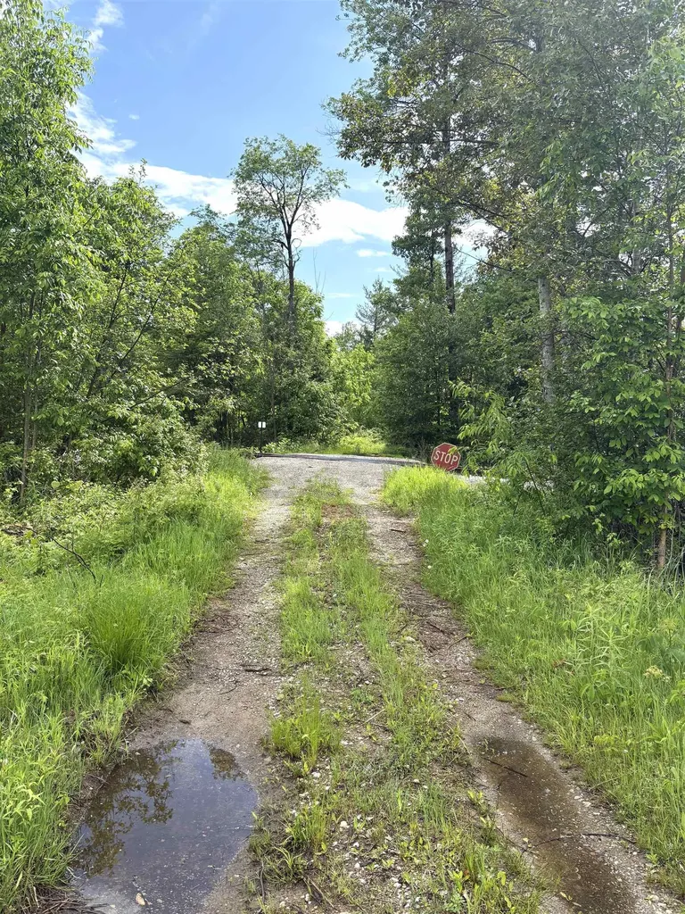 V/l M-76 Ogemaw Township MI 48861