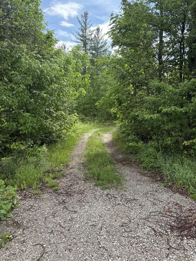 V/l M-76 Ogemaw Township MI 48861