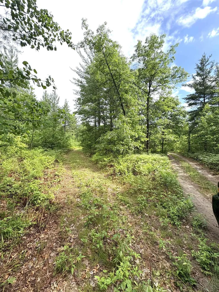 V/l M-76 Ogemaw Township MI 48861