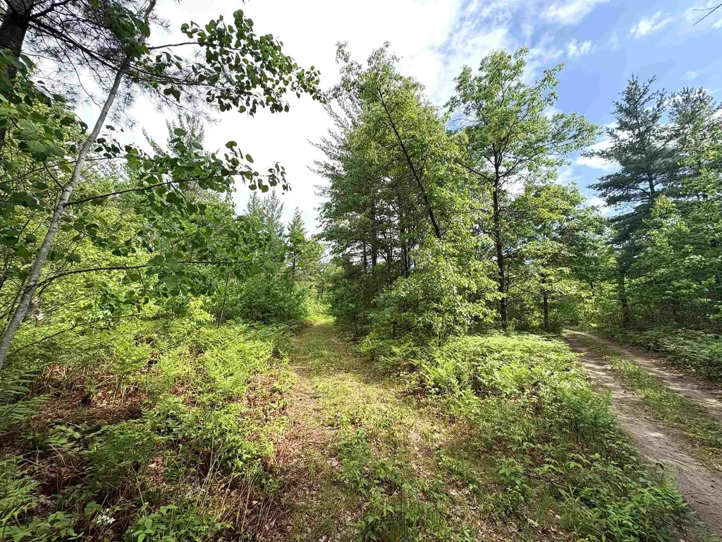 V/l M-76 Ogemaw Township MI 48861