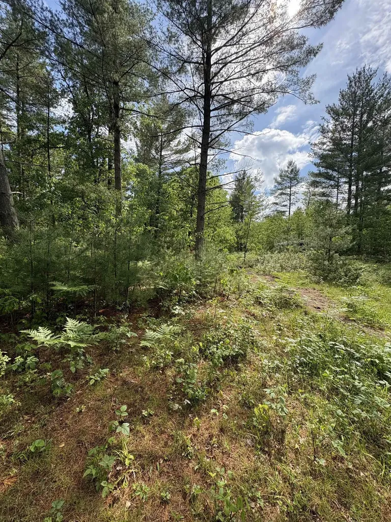 V/l M-76 Ogemaw Township MI 48861