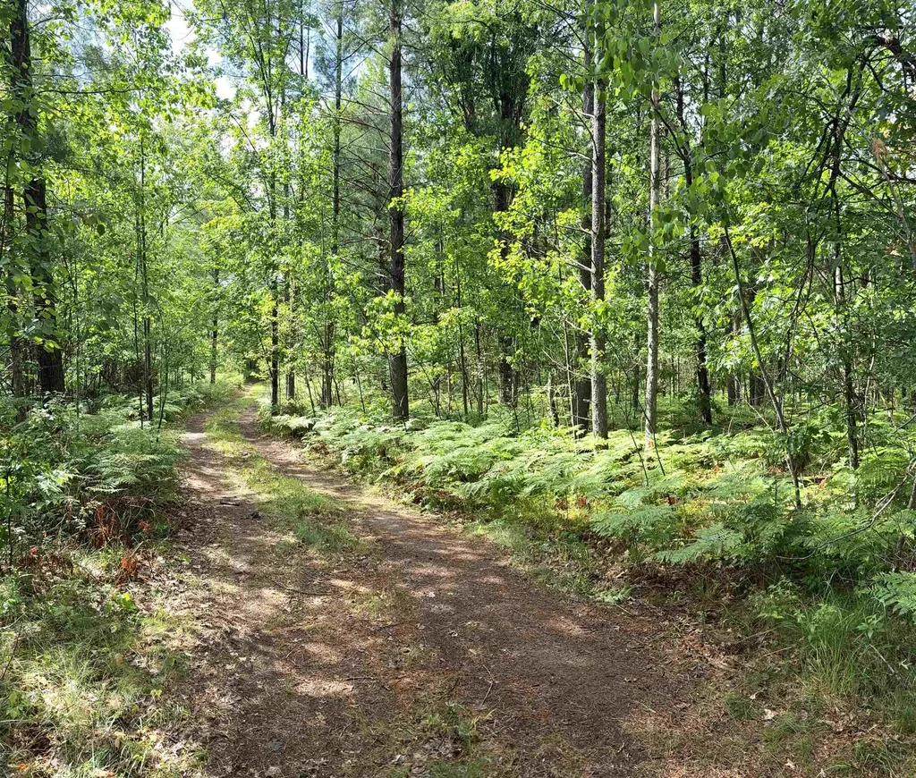V/l M-76 Ogemaw Township MI 48861