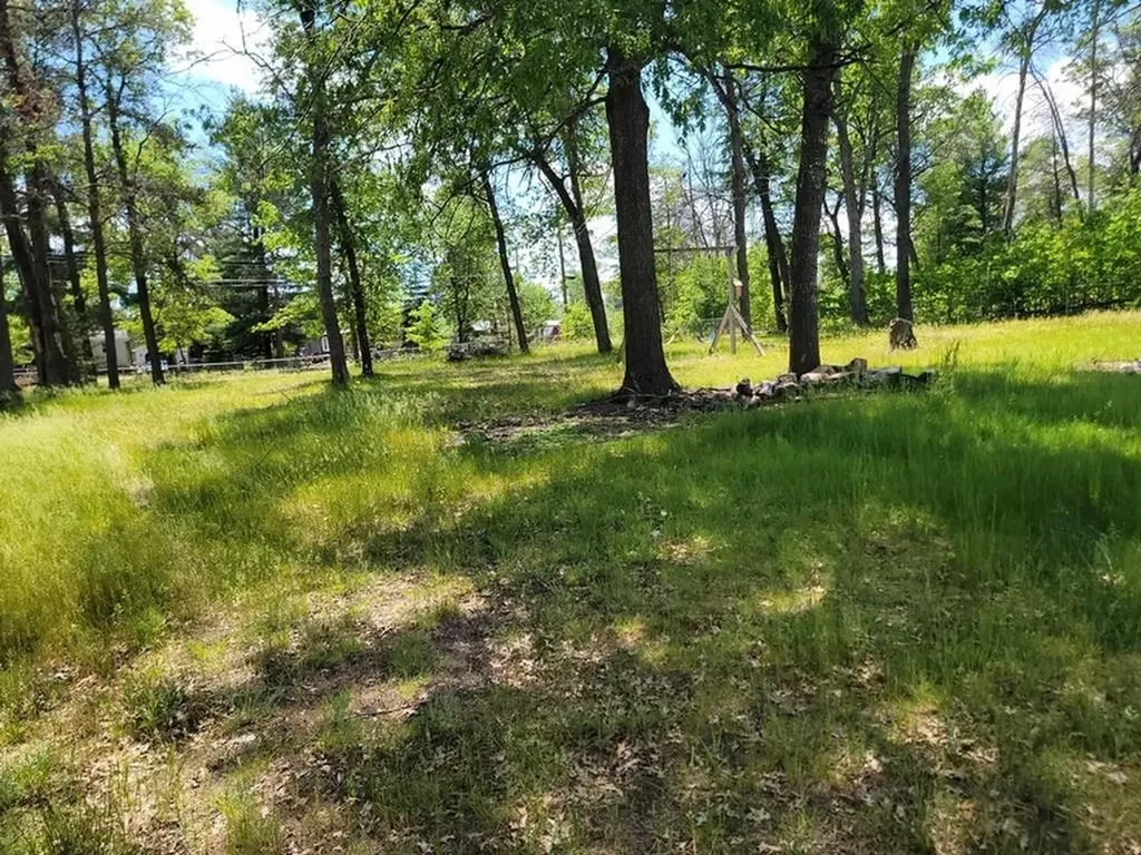 1694 Possum Track Drive Mills Township MI 48610