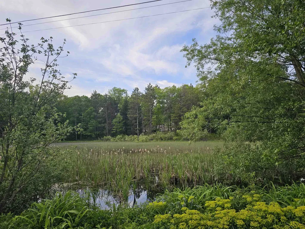 3815 Jay Street Grant Township MI 48748