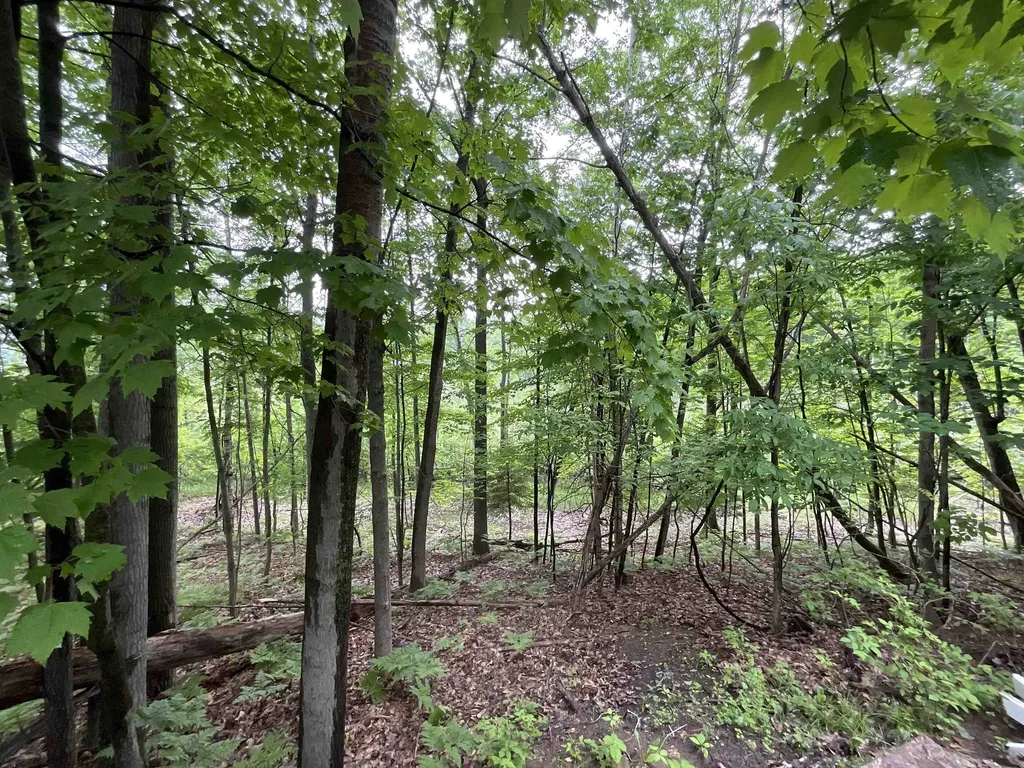 4737 Mary E Drive Hill Township MI 48739