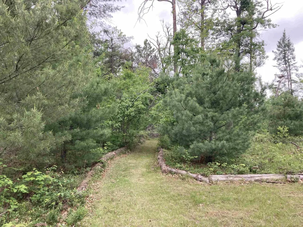 1875 Richardson Road Elmer Township MI 48647