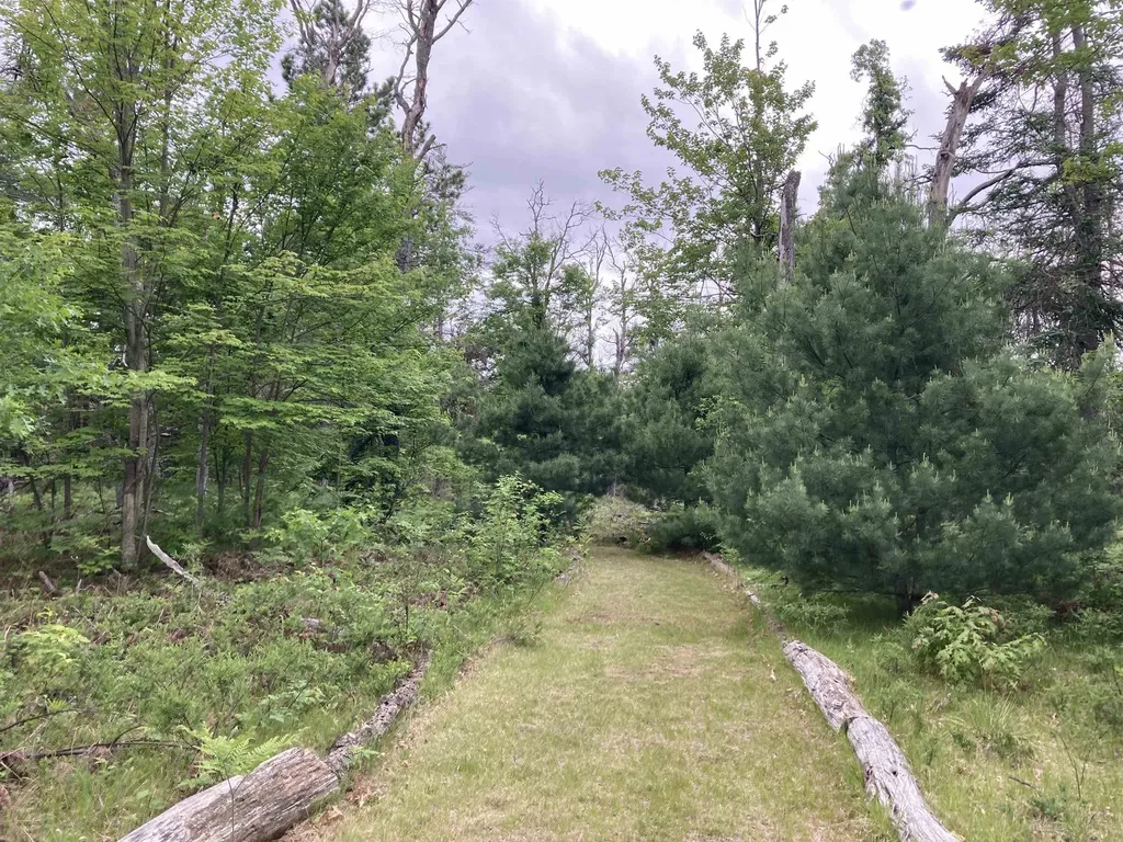 1875 Richardson Road Elmer Township MI 48647