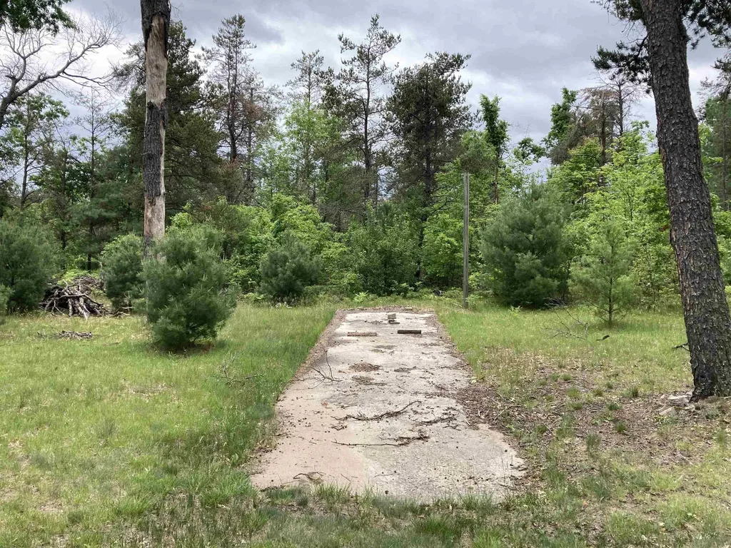 1875 Richardson Road Elmer Township MI 48647