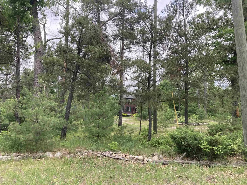 1875 Richardson Road Elmer Township MI 48647