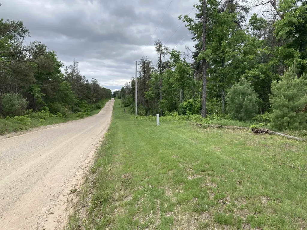 1875 Richardson Road Elmer Township MI 48647