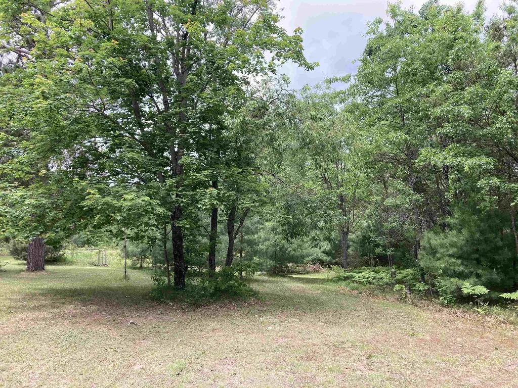 1875 Richardson Road Elmer Township MI 48647