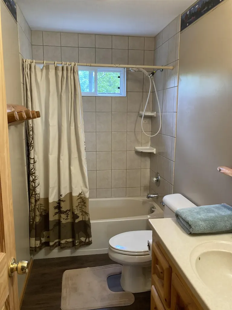 1875 Richardson Road Elmer Township MI 48647