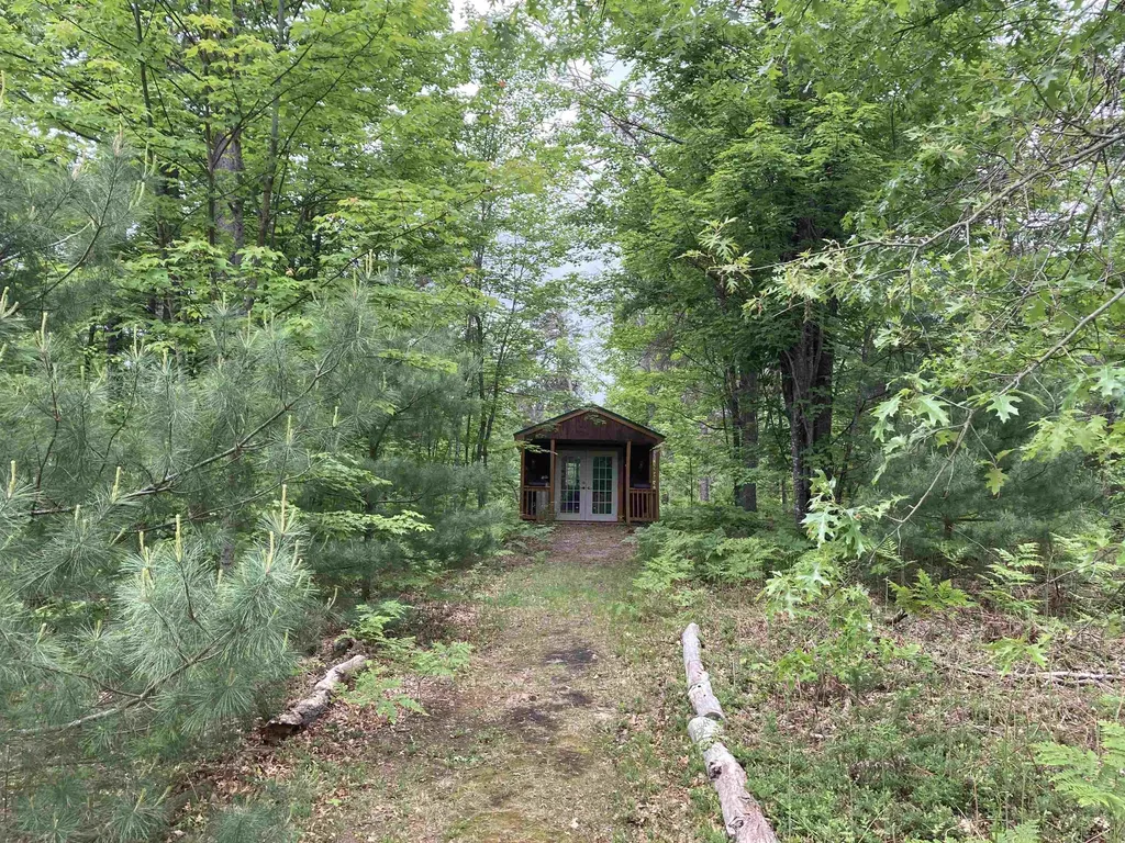 1875 Richardson Road Elmer Township MI 48647