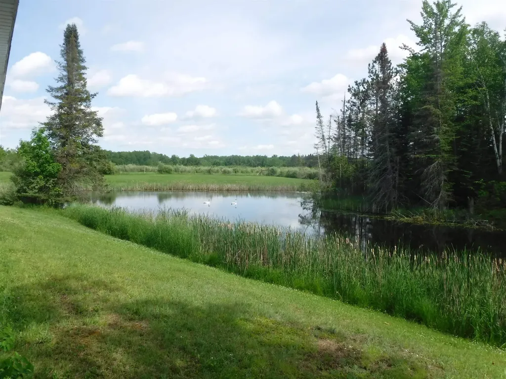 4781 Alvin Road Curtis Township MI 48737