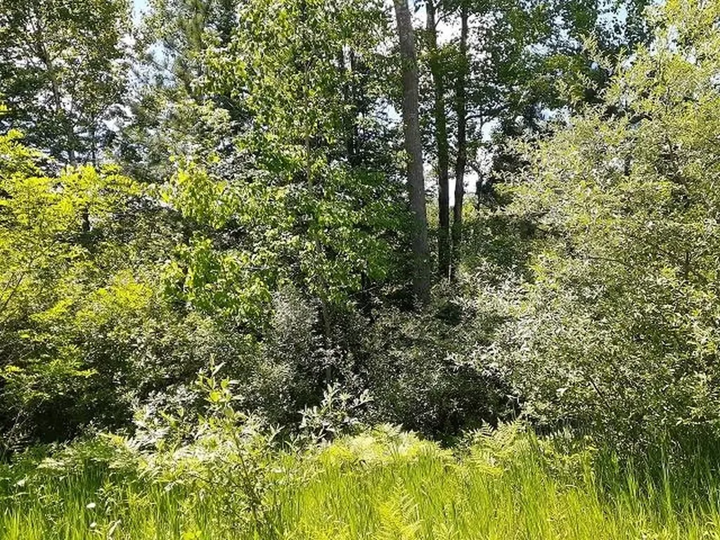 0 East Side Drive Hill Township MI 48635