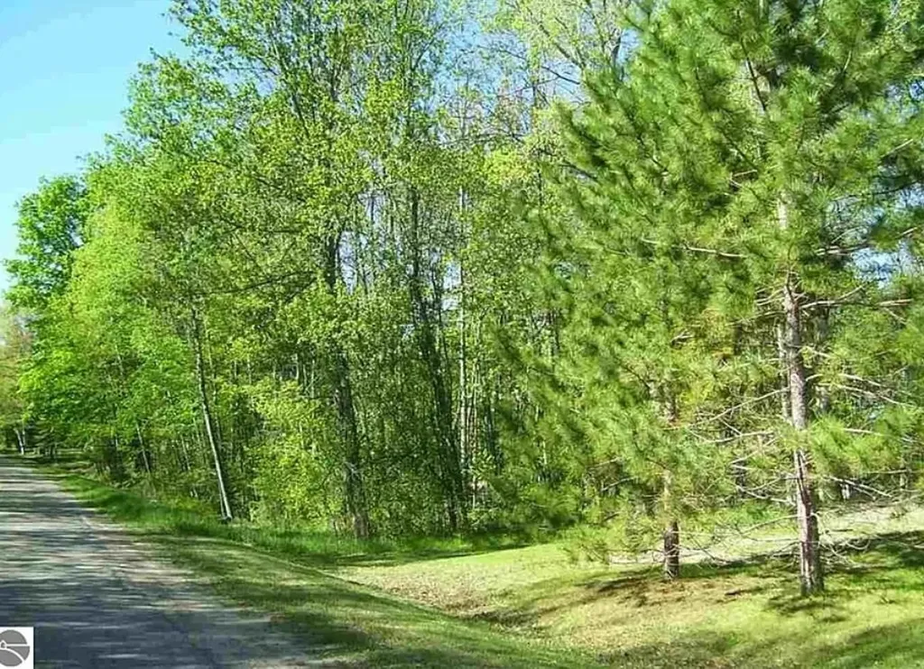 0 East Side Drive Hill Township MI 48635