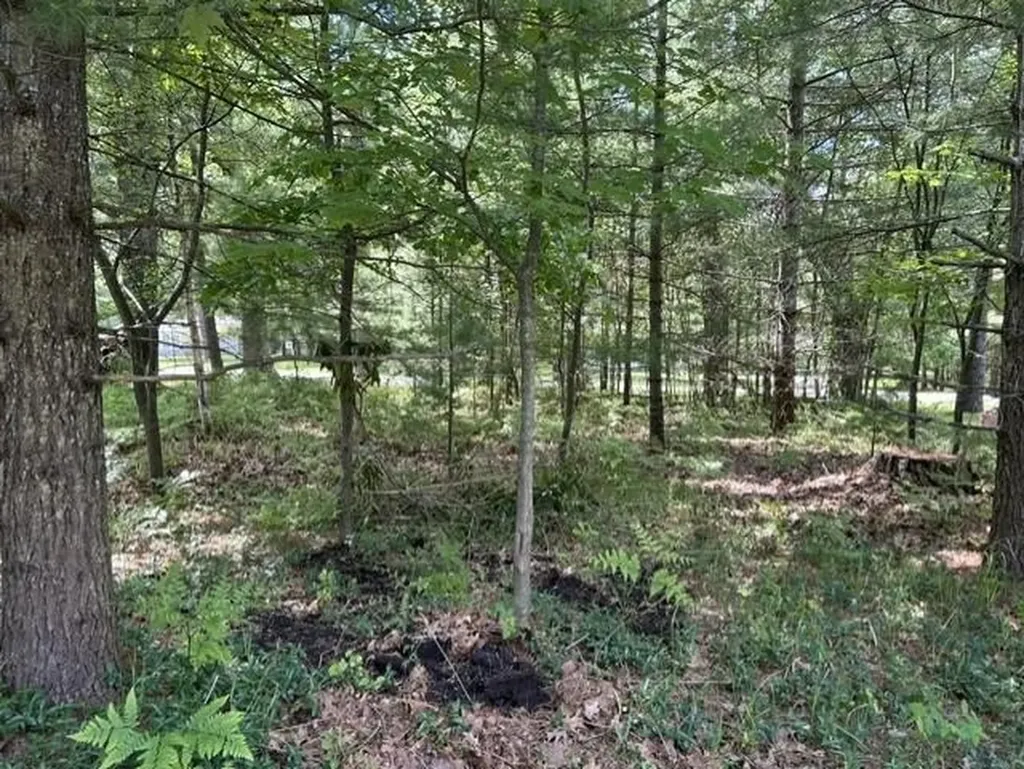 2424 Winona Street Baldwin Township MI 48730