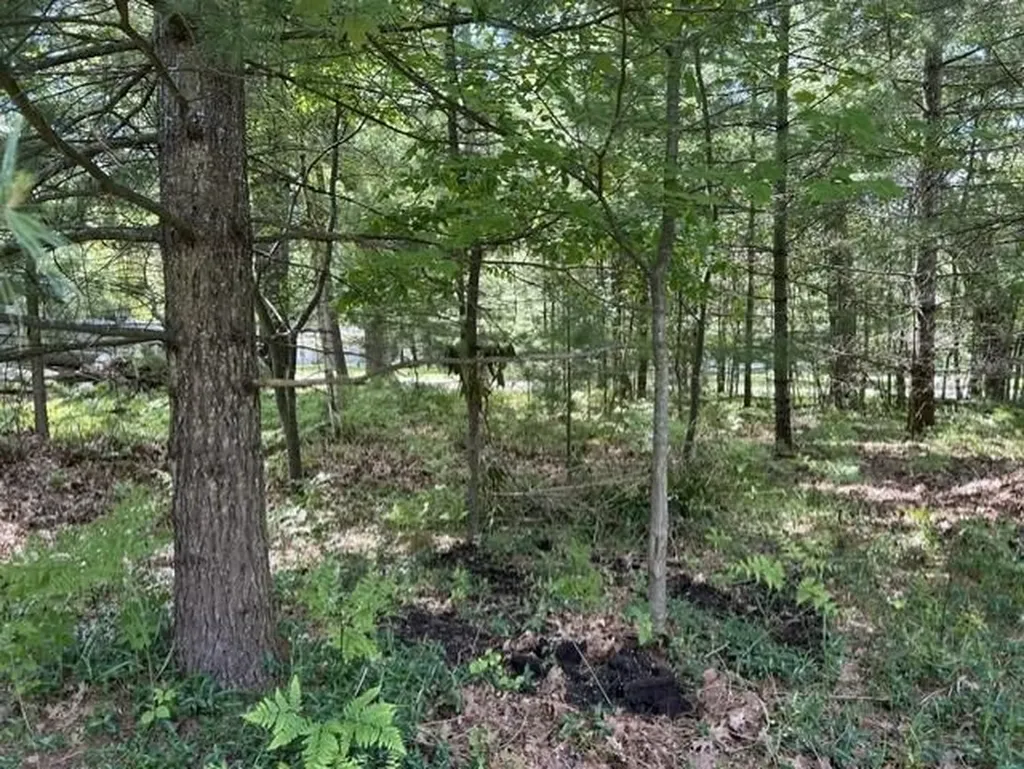 2424 Winona Street Baldwin Township MI 48730