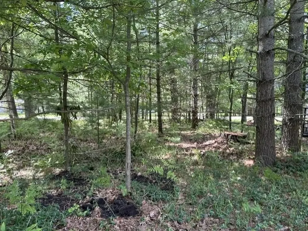 2424 Winona Street Baldwin Township MI 48730