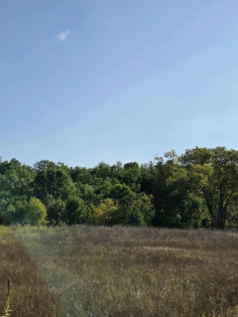 00 Runyan Lane Plainfield Township MI 48739