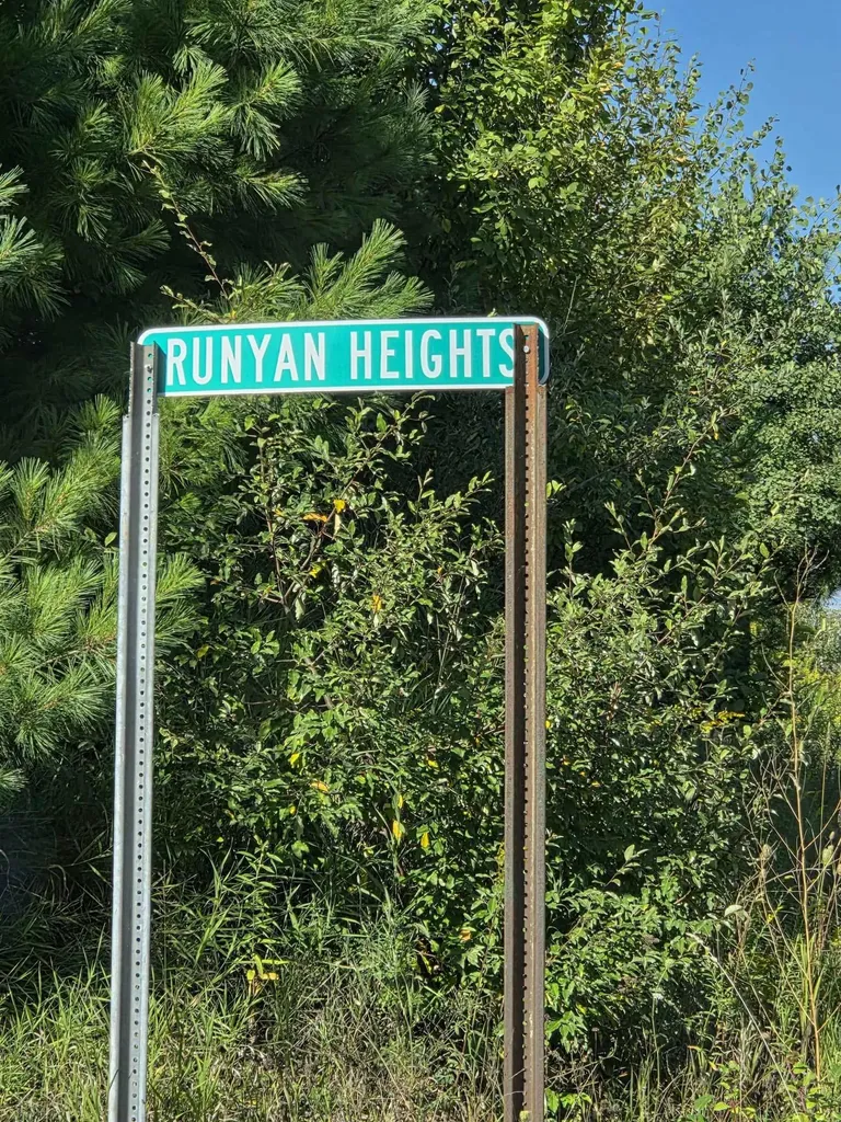 00 Runyan Lane Plainfield Township MI 48739