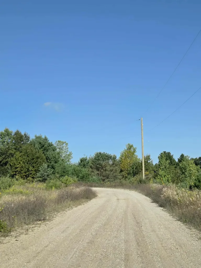 00 Runyan Lane Plainfield Township MI 48739