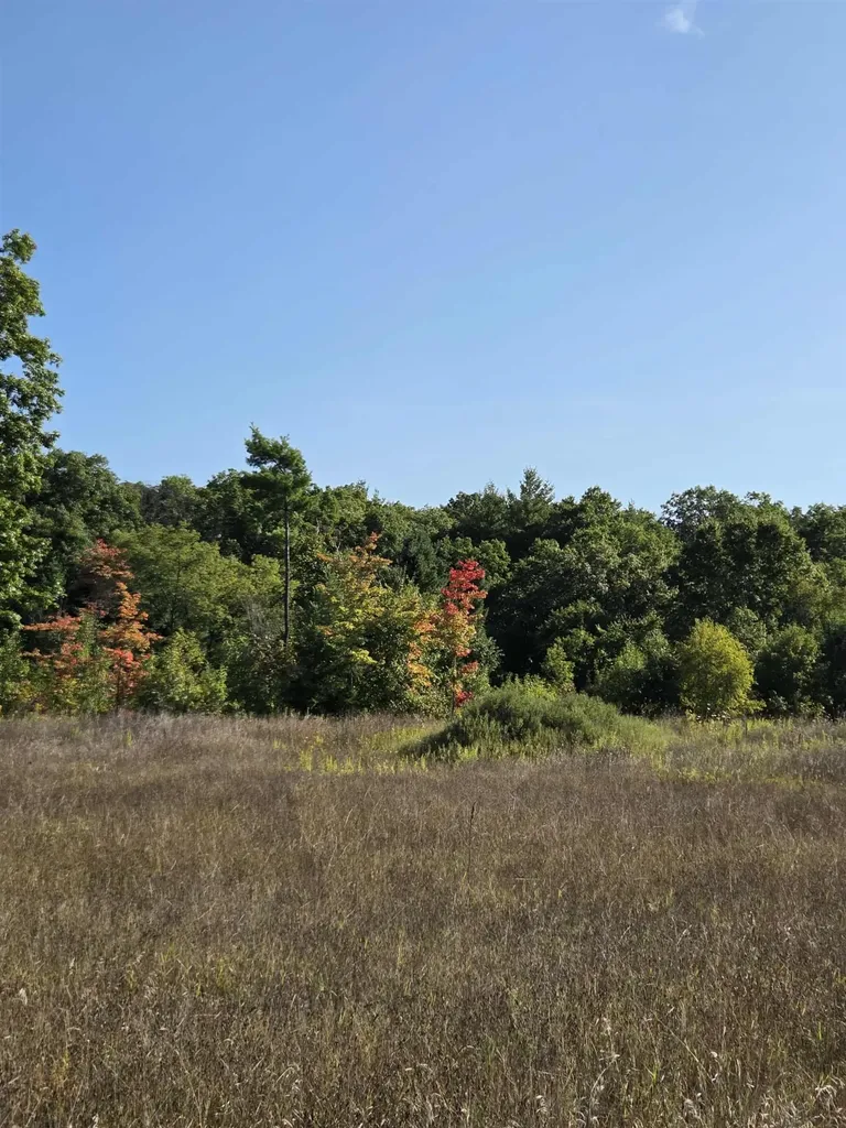 00 Runyan Lane Plainfield Township MI 48739