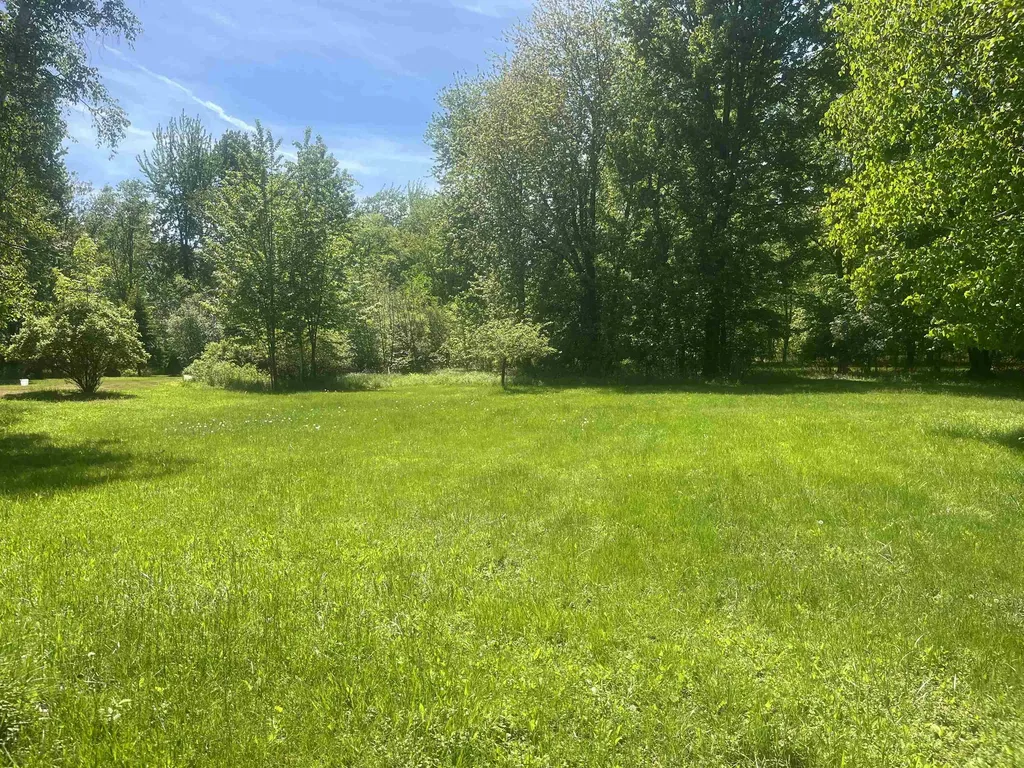 704 Delano Road Sims Township MI 48703