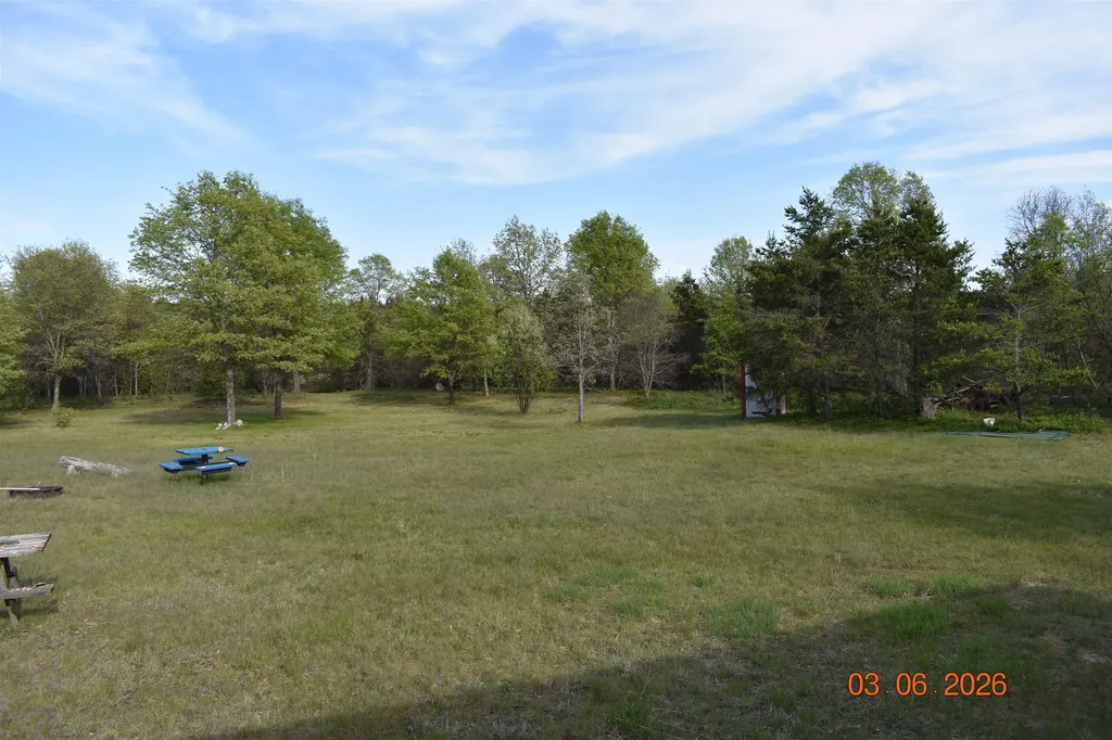 11565 Leline Road South Branch Township MI 48653