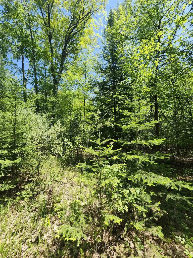 0 Rose Circle Hill Township MI 48635