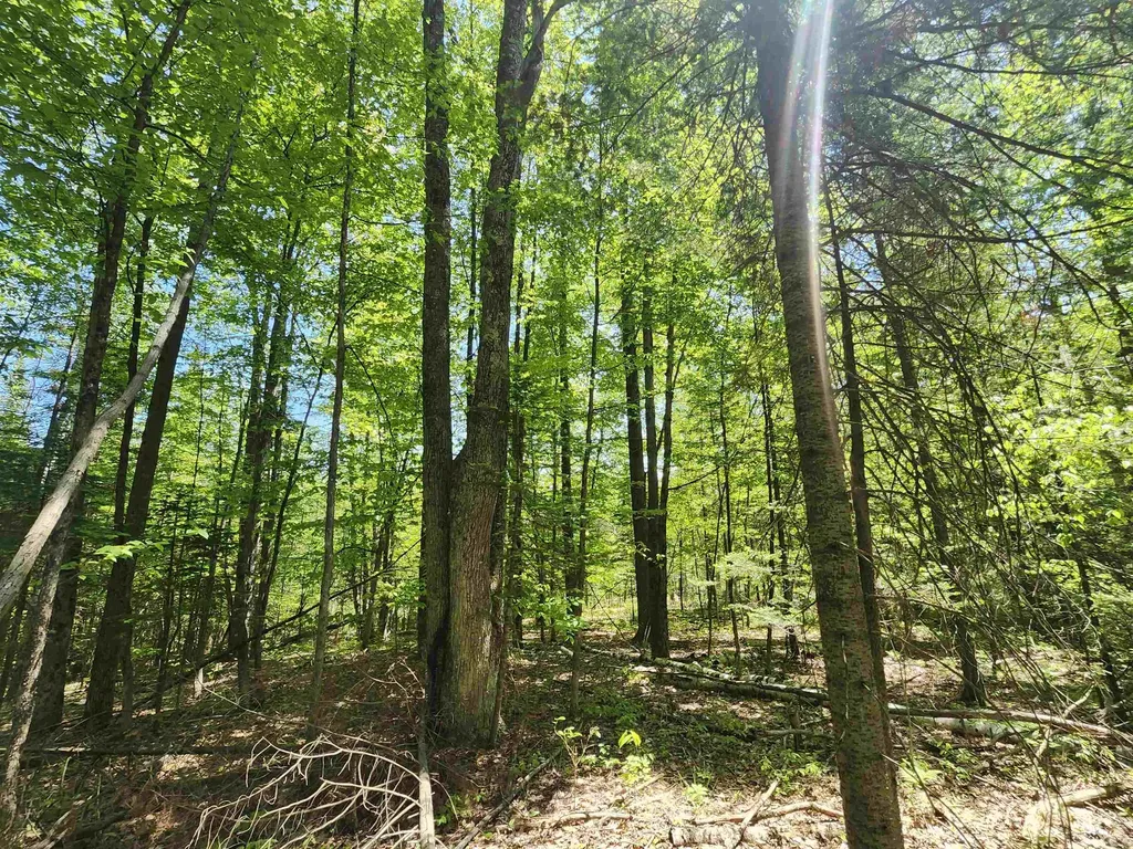 0 Rose Circle Hill Township MI 48635