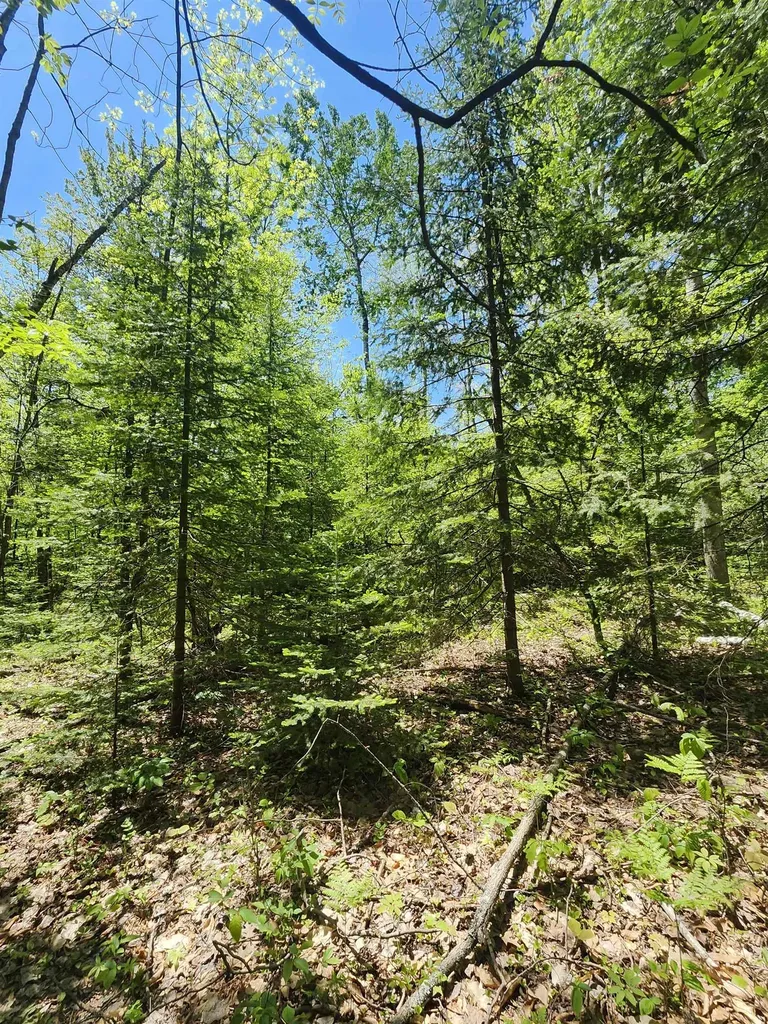 0 Rose Circle Hill Township MI 48635
