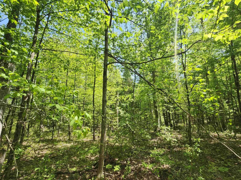 0 Rose Circle Hill Township MI 48635