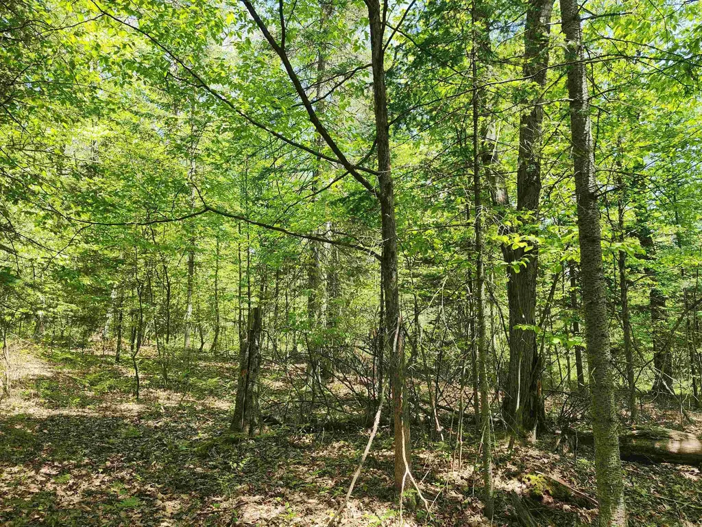 0 Rose Circle Hill Township MI 48635