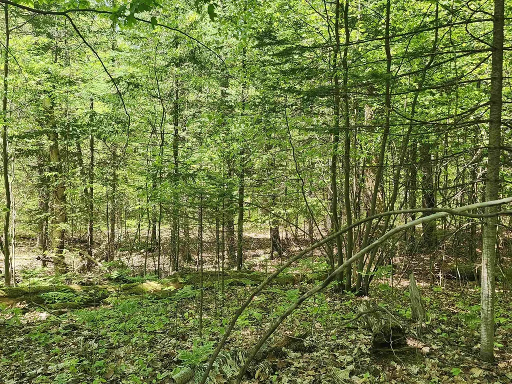 0 Rose Circle Hill Township MI 48635