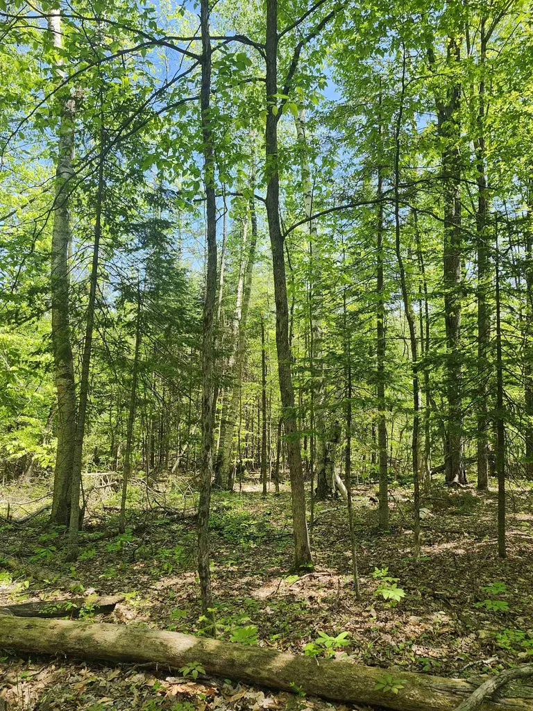 0 Rose Circle Hill Township MI 48635