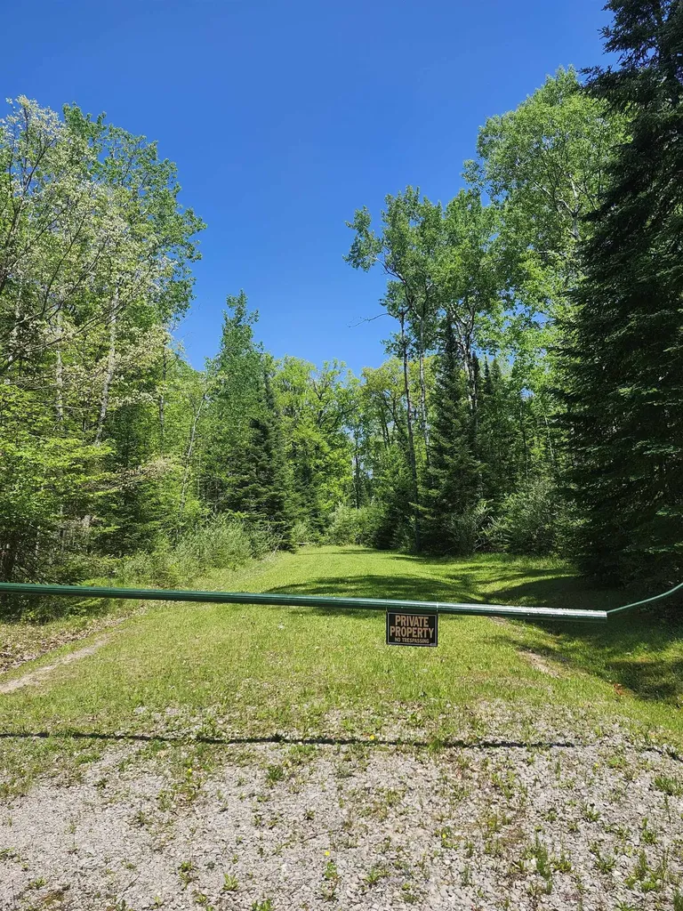 0 Rose Circle Hill Township MI 48635