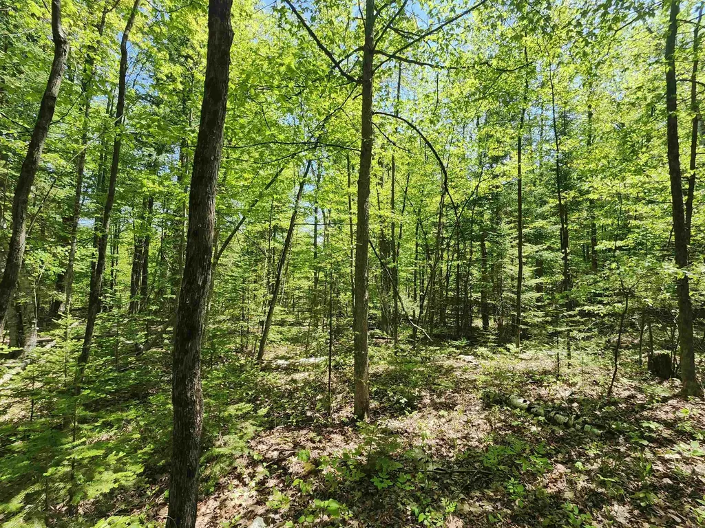 0 Rose Circle Hill Township MI 48635