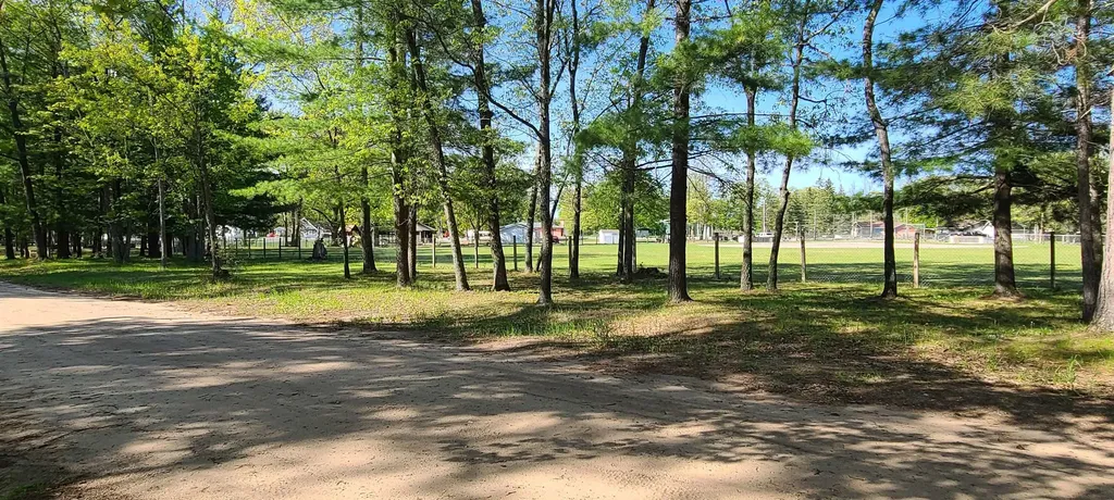1765 Burgess Road Millen Township MI 48705