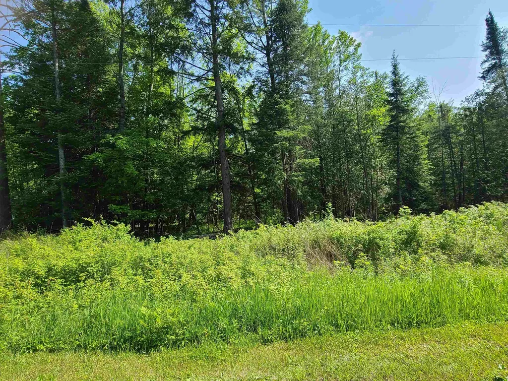 1281 W Trask Lake Road Millen Township MI 48705