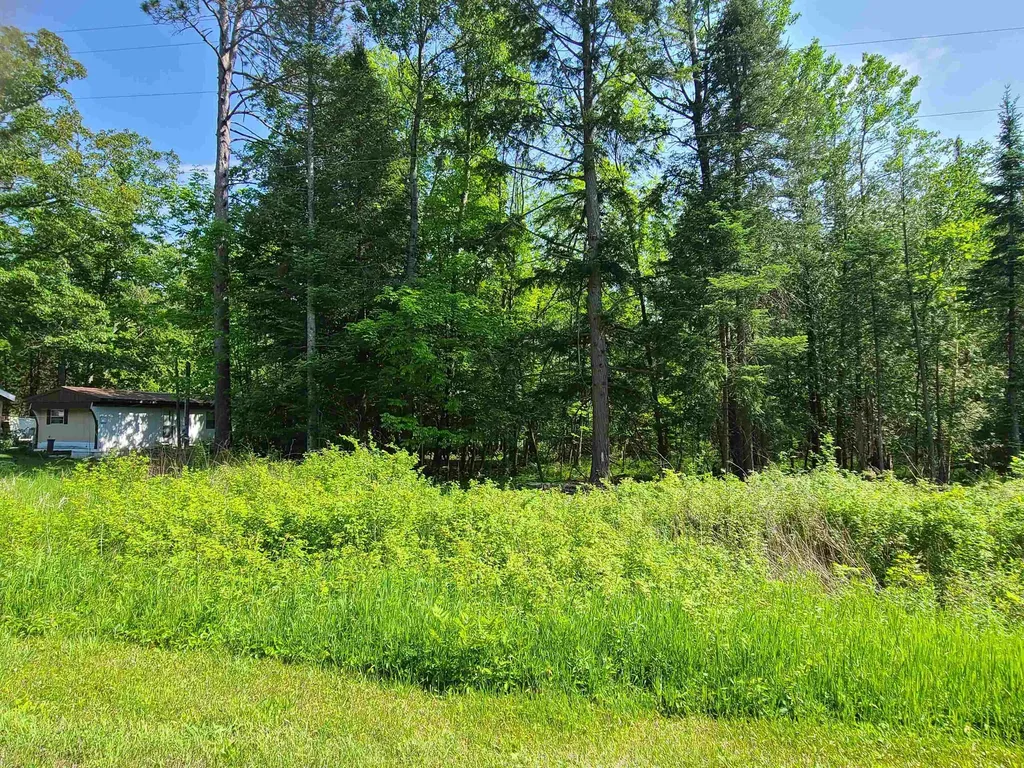 1281 W Trask Lake Road Millen Township MI 48705