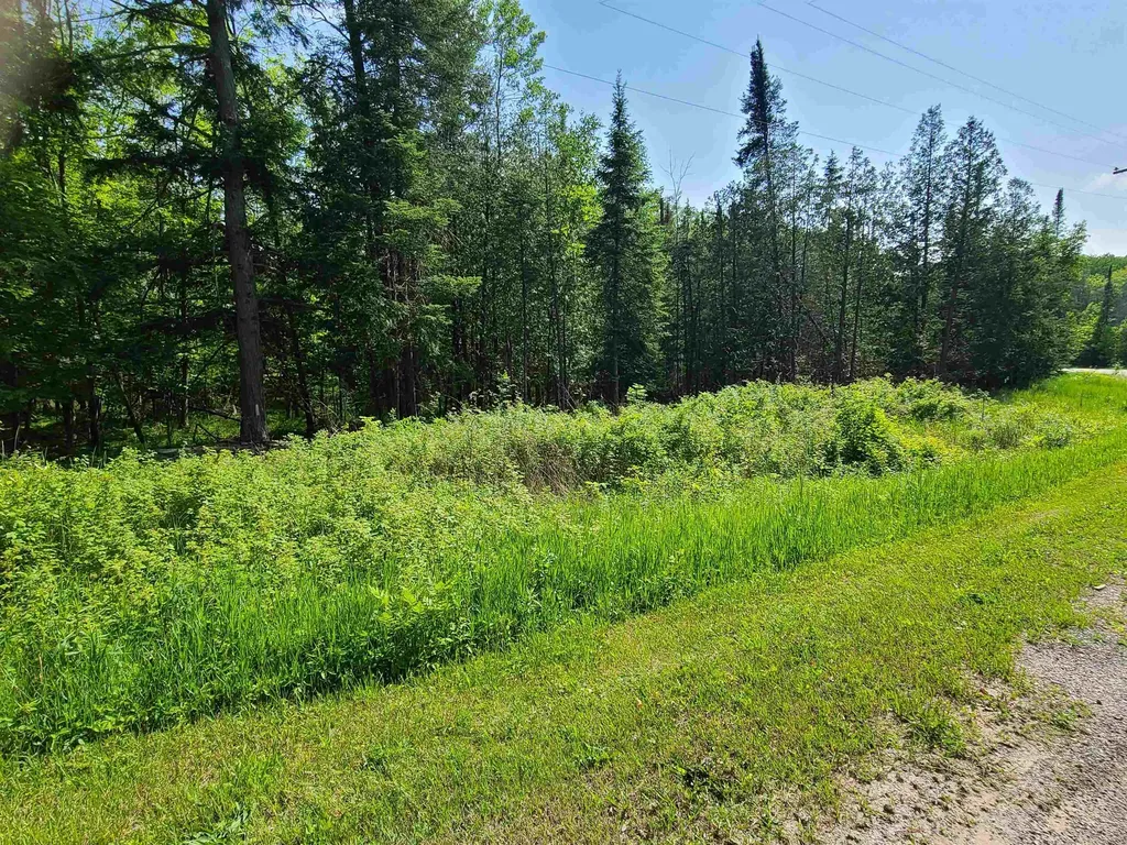 1281 W Trask Lake Road Millen Township MI 48705