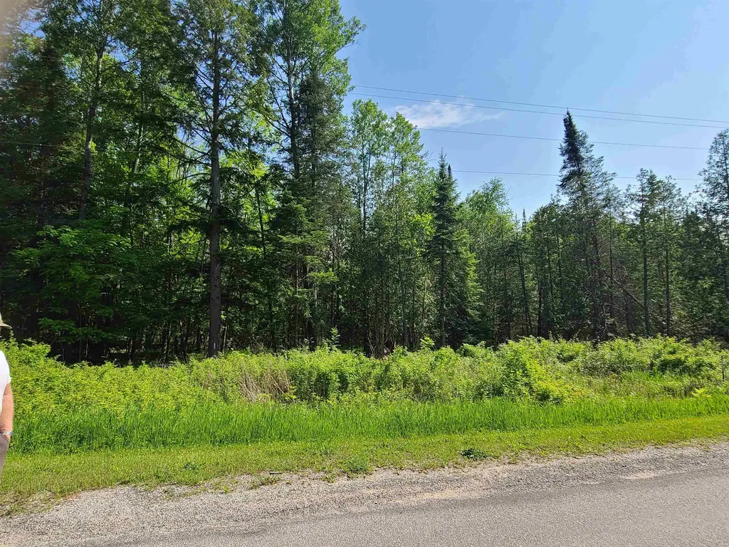 1281 W Trask Lake Road Millen Township MI 48705