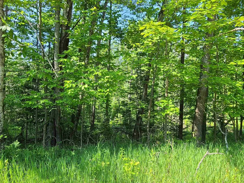 1281 W Trask Lake Road Millen Township MI 48705
