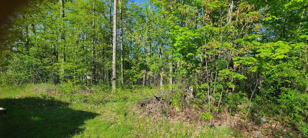 000 Montana Street Millen Township MI 48705