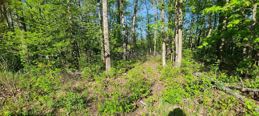 000 Montana Street Millen Township MI 48705